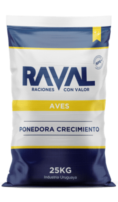 PONEDORA CRECIMIENTO