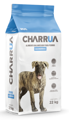 CHARRÚA PERRO CACHORRO