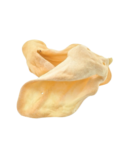 OREJA VACUNA